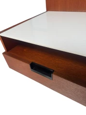 Two EU/NU-11 Japanese Series Wall Cabinets by Cees Braakman for Pastoe, 1958